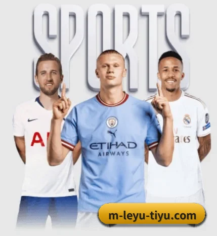 了解平台 - 体育资讯内容服务(leyu sports app)